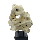 Indonesian Coral Stone On Teak Stand - Berbere Imports