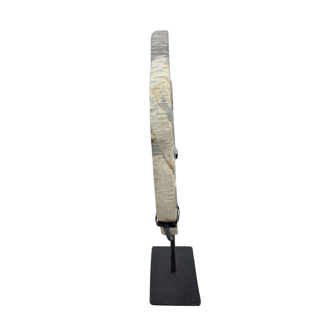 Petrified Wood Disc On Metal Stand - Berbere Imports