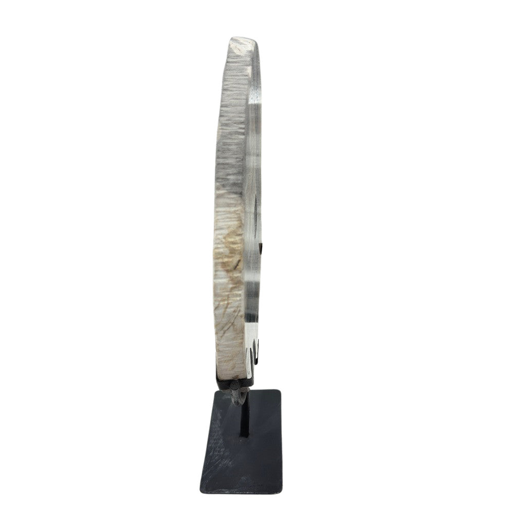 Petrified Wood Disc On Metal Stand - Berbere Imports