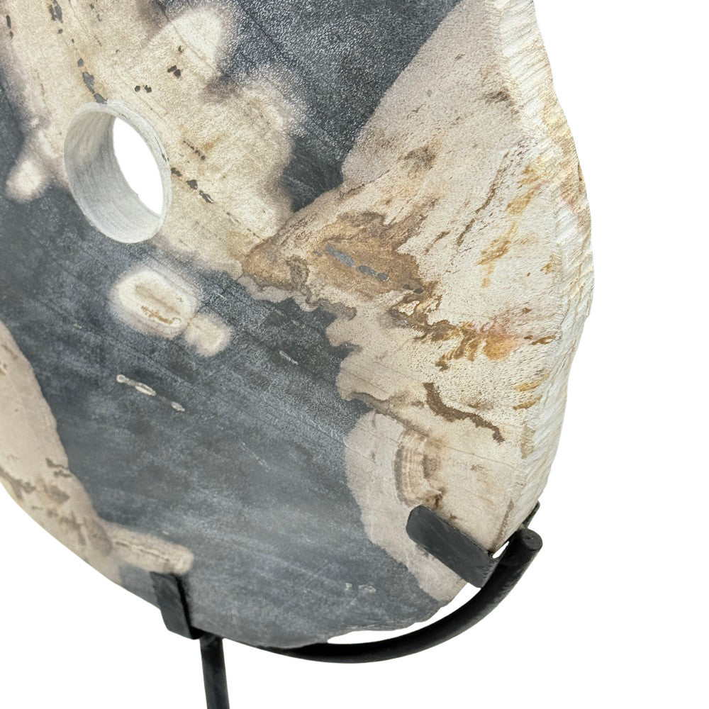 Petrified Wood Disc On Metal Stand - Berbere Imports