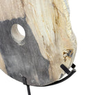 Petrified Wood Disc On Metal Stand - Berbere Imports