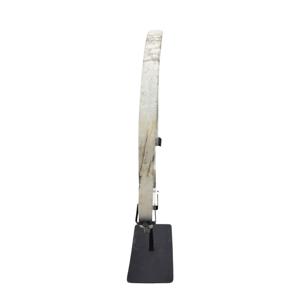 Petrified Wood Disc On Metal Stand - Berbere Imports