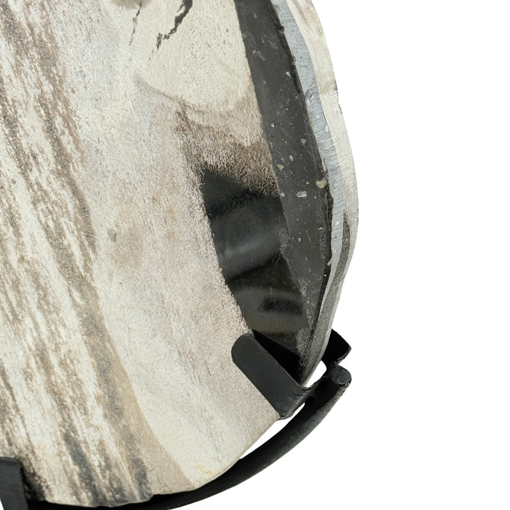 Petrified Wood Disc On Metal Stand - Berbere Imports