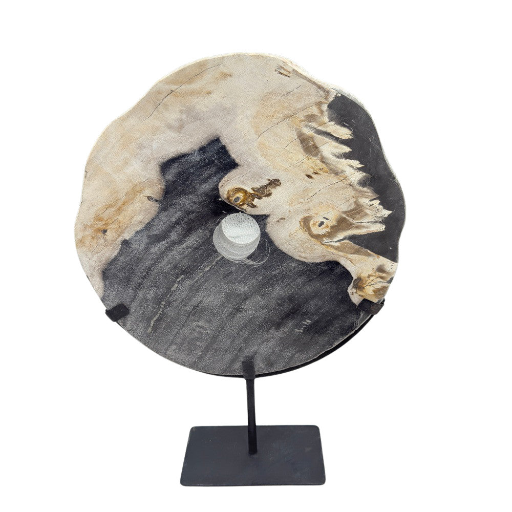 Petrified Wood Disc On Metal Stand - Berbere Imports