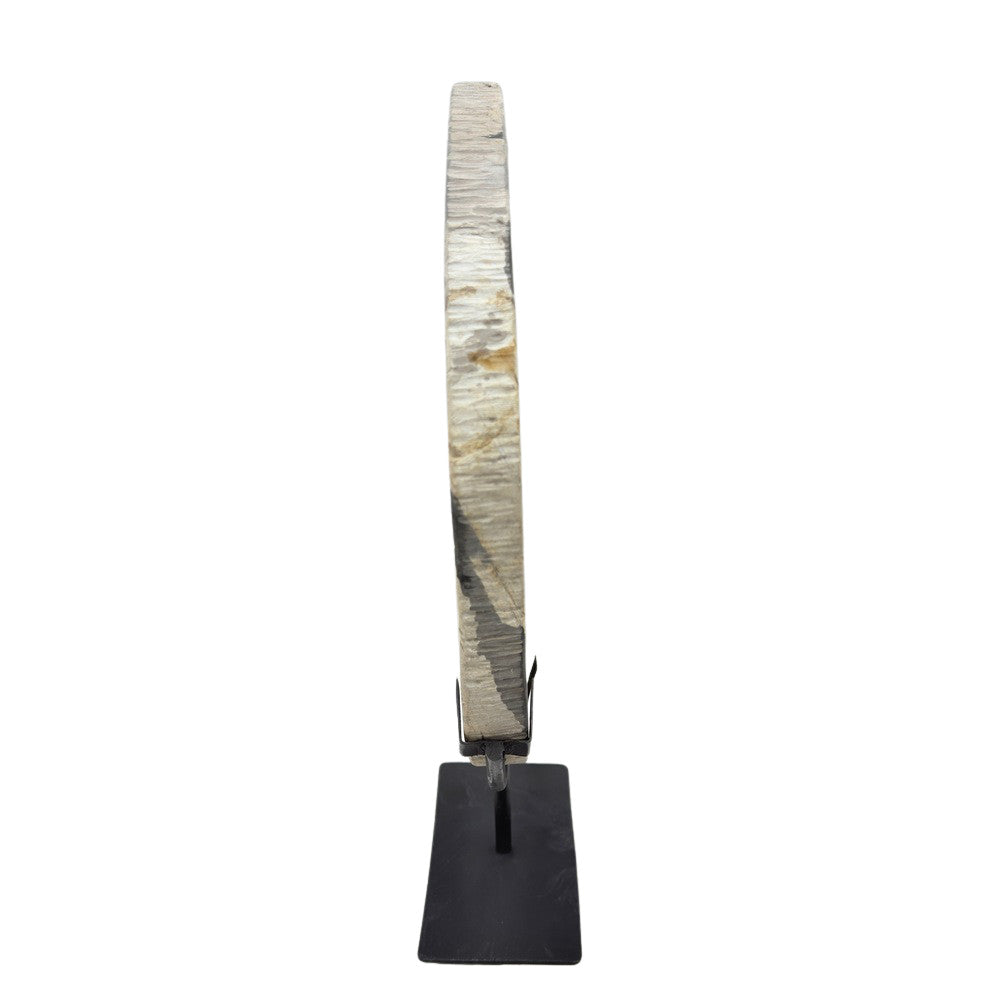 Petrified Wood Disc On Metal Stand - Berbere Imports