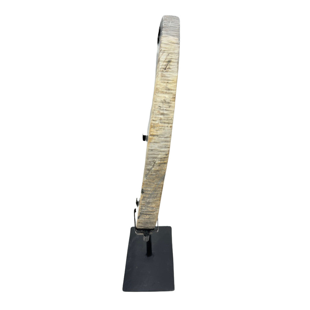 Petrified Wood Disc On Metal Stand - Berbere Imports
