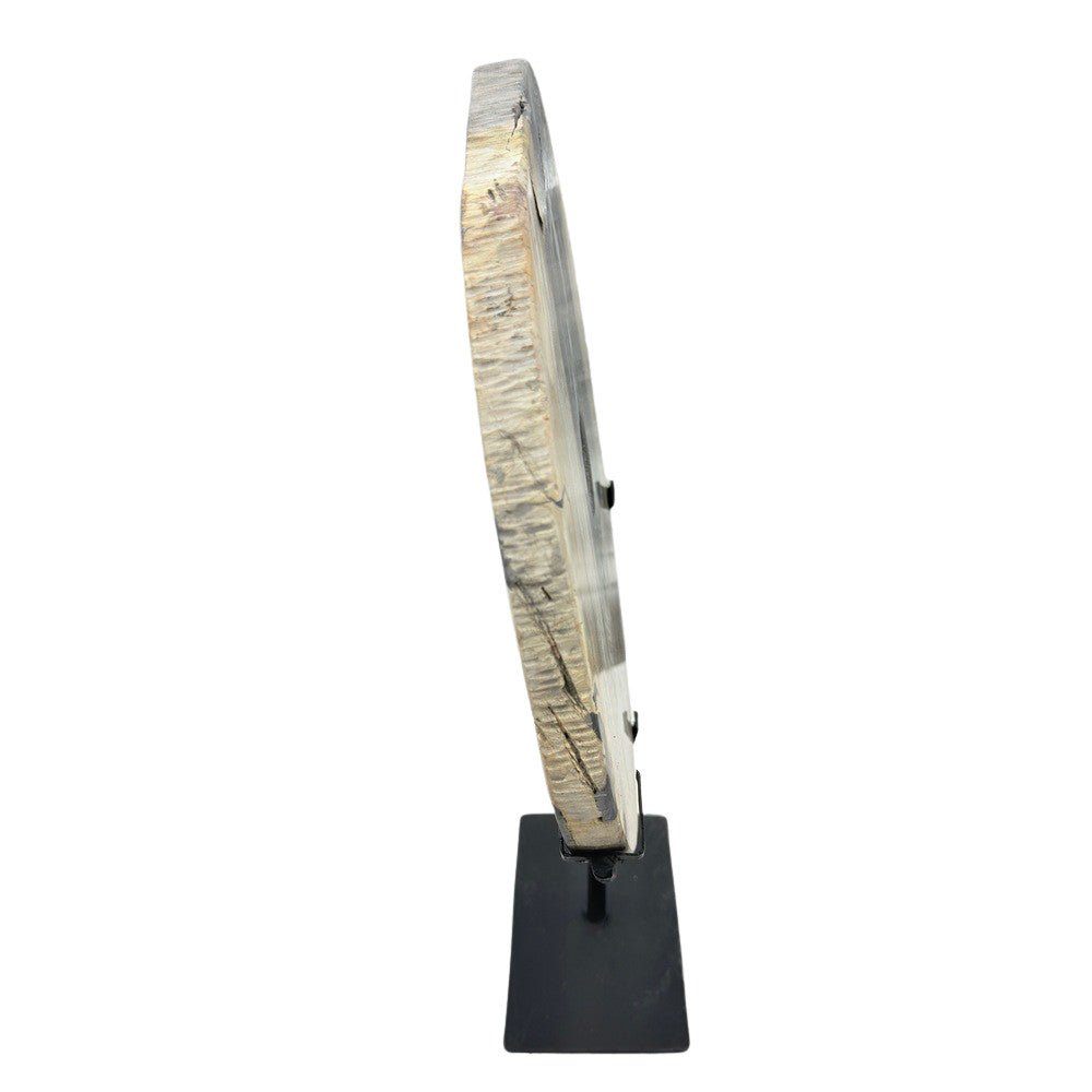 Petrified Wood Disc On Metal Stand - Berbere Imports